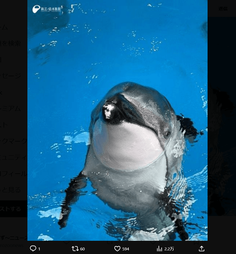 新江ノ島水族館の公式X（@enosui_com）より