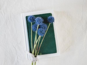 【厳選】父からの手紙から始まった家族の崩壊。娘の七五三に自分の「裸」の写真を撮った私。2月に読まれたエッセイ