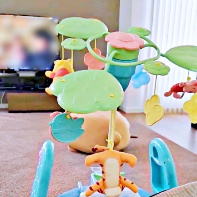 そのまますやすや夢の中へ。赤ちゃんのようなきぬくん（画像提供：きぬさん）