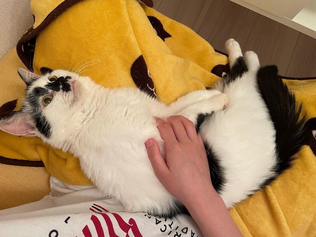 おおらかな感じがたまらない。