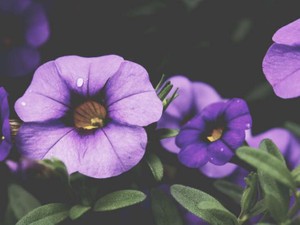 復縁した元カレから「やっぱり無理」。私はどう変わるべき？