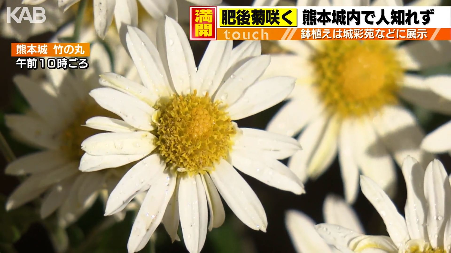 48a213161ec8c94a53f6bb7edf3323