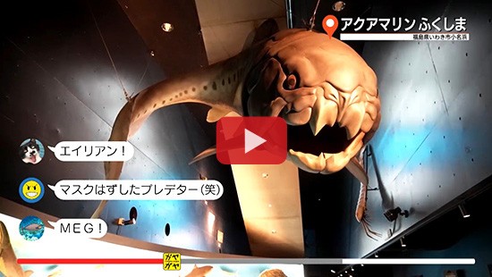 #121アクアマリンふくしま①