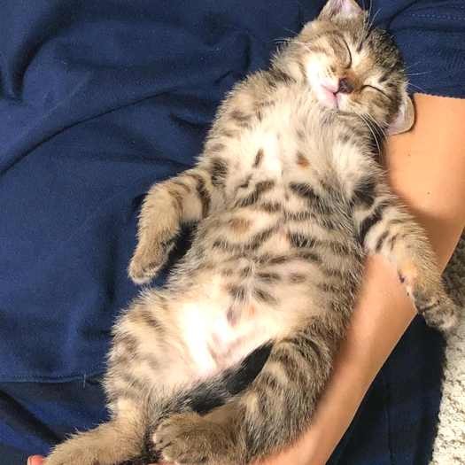 「あさこ幼稚園ほど居心地のいい場所はないね」と語っているかのよう