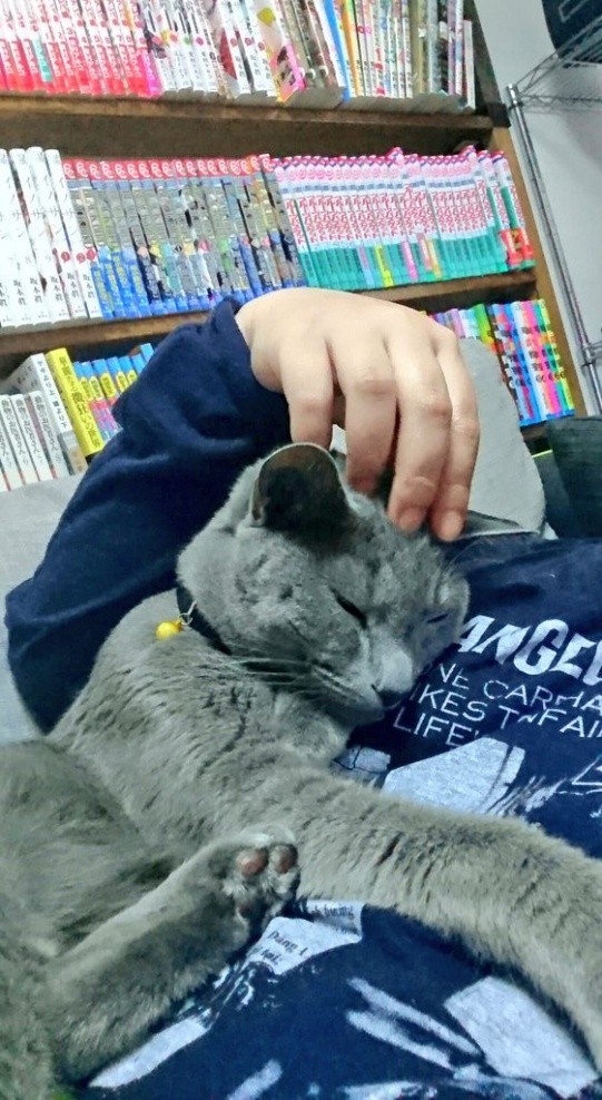 飼い主さんの腕枕で眠るのが日課