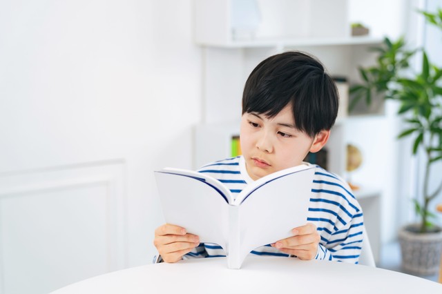息子さんは読書が大好き　※画像はイメージです（metamorworks@stock.adobe.com）