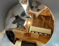 ※長崎バイオパーク提供