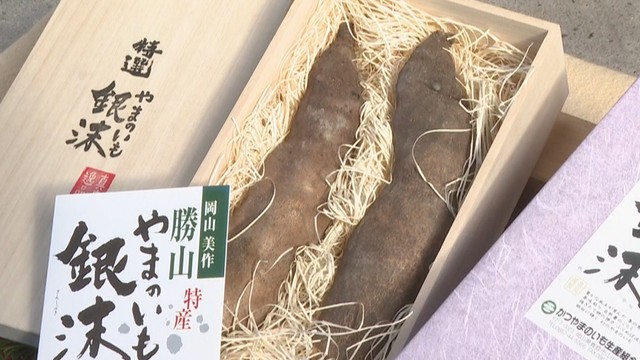 「幻のやまのいも」岡山・真庭市特産 銀沫の出荷準備　オンライン販売も
