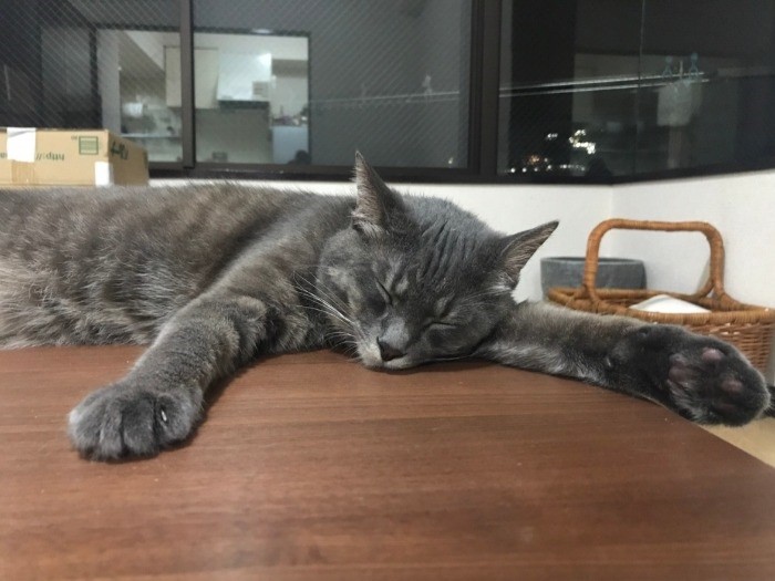 僕、みんなの分まで長く生きたい