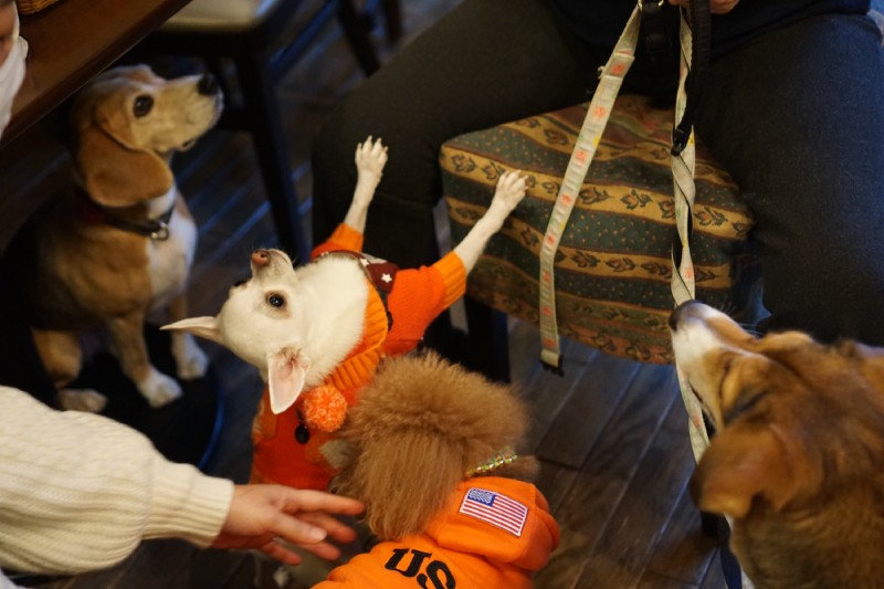 「こっちだってばー」のけぞってリクエスト