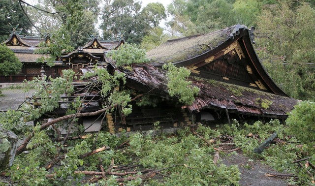 台風の影響で倒壊した平野神社の拝殿＝２０１８年９月４日、京都市北区
