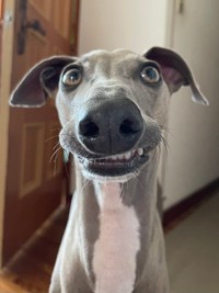 正面から見ると…こんなアニメ顔に！！（画像提供：プットさん）