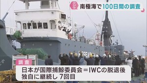 クジラの調査船が南極海に向けて出港　宮城・塩釜港
