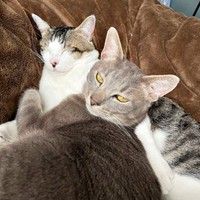 朝、まだ眠そうな満天くん（手前）、花丸くん（奥）（画像提供：*ig*さん）