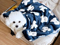 かわいい毛布をかけてもらったアポちゃん（画像提供：あぽちぃさん）