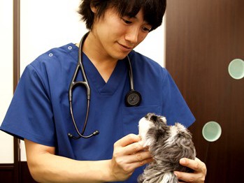 ペットに健康診断は必要？