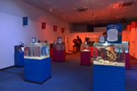 春の企画展「にゅるにゅるトゲトゲ生物の謎」会場（提供：鳥羽水族館）