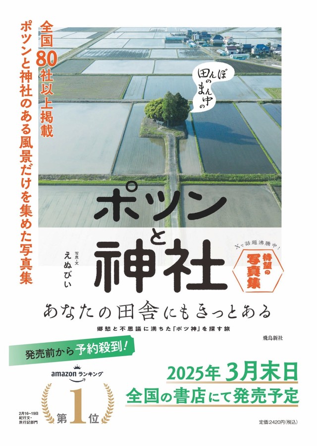 えぬびいさんの力作「ポツンと神社」