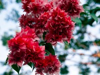 閉ざしていた心を解きほぐしてくれたのは、見返りを求めない愛だった