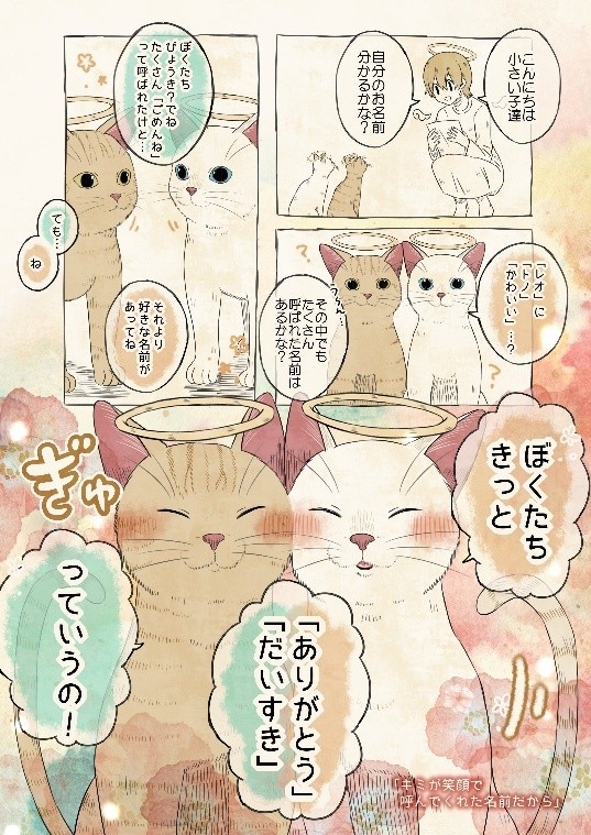 自分の名前を勘違いしている子猫たち