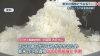 資料