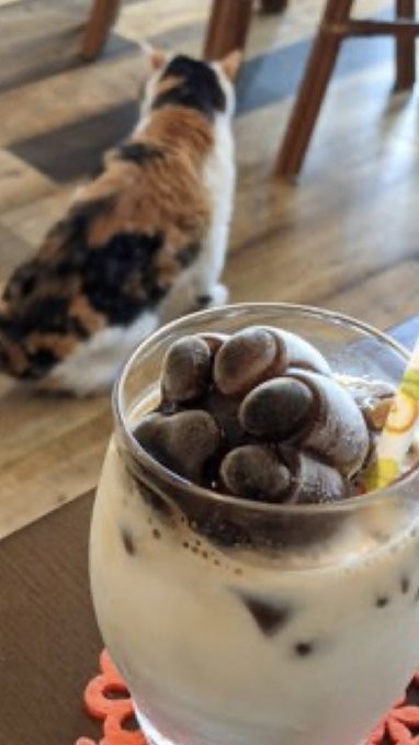 お店の人気メニュー「ねぇねの肉球コーヒー」