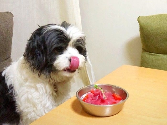 ２匹の犬の個性を受け入れ 家族らしくなっていく Sippo シッポ