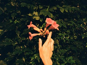 厳しく口うるさい母の弱さが見えたとき。不器用な母へ伝えたい感謝