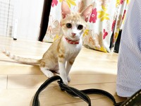 元気を取り戻した月ちゃん（画像提供：たちつてとさん）