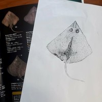 まつ子さんの息子が描いた絵（幸せまつ子さん提供）