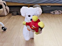 アンパンマンを運ぶアポちゃん（画像提供：あぽちぃさん）