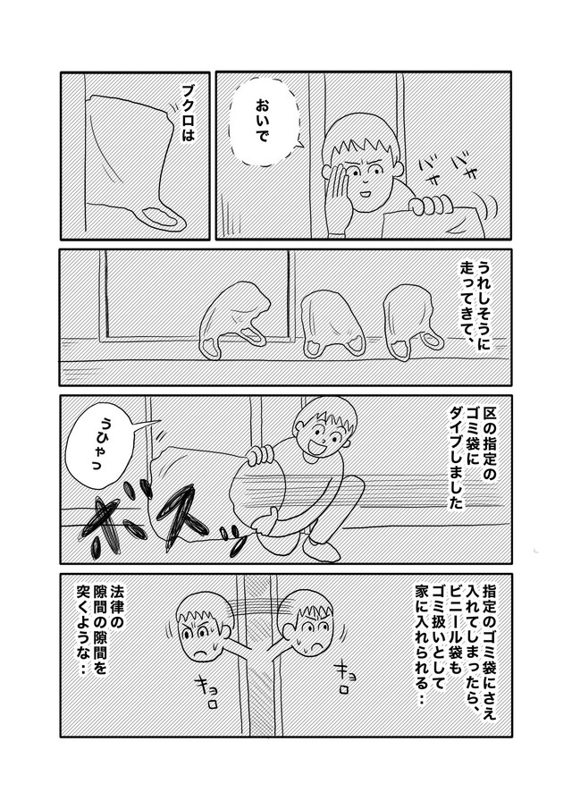 【漫画】『猫だと思ったらビニール袋だった話』5（ヒロ・コトブキさんの提供）