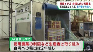 宮城県産イチゴを空輸で直接台湾へ　２０２４年問題解消にも期待
