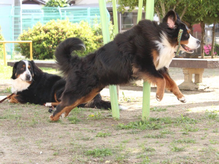 「お母さん！」と駆け寄るジンくん