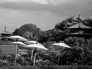 【奈良編】時空を超えた奇譚も、社会派も　文芸評論家・斎藤美奈子