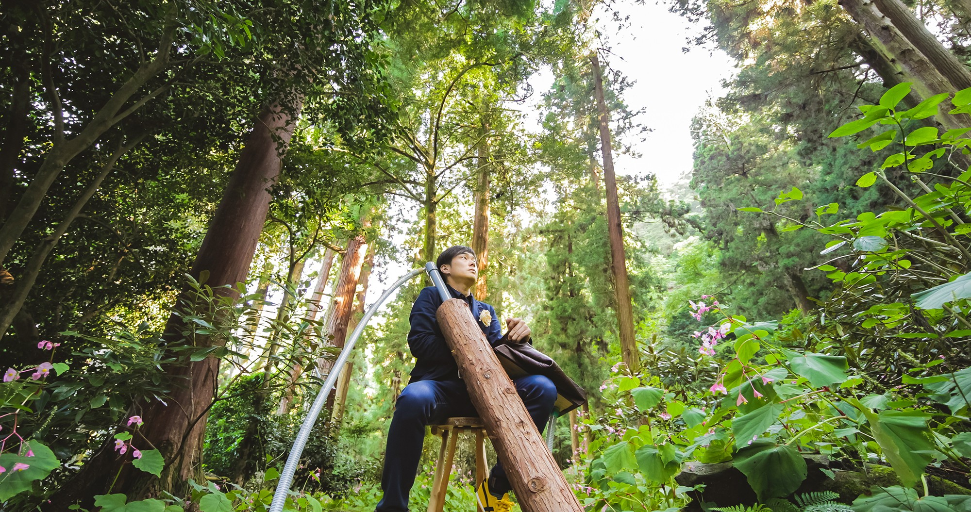 「えっ、森を楽器に!?」思わず耳を疑う奇想天外な演奏会 仕掛け人は朝ドラ『おちょやん』で知られるのこぎり奏者|まいどなニュース
