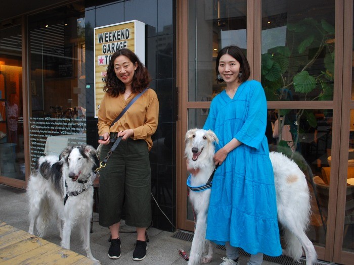 兄弟犬だそうです。美しすぎるボルゾイ。楽しそうなお顔