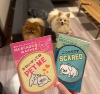 人懐っこいミルモくんがつけているメッセージワッペン（左）と、怖がりなポンくんがつけているメッセージワッペン（右）（画像提供：ミルモとポン！さん）（画像提供：ミルモとポン！さん）