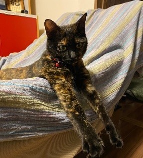 「あたしこの手で皆を転がすの」（辻さん提供）