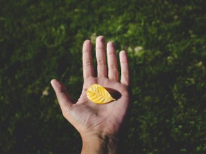 奢られることを頑なに拒んでいたわたし。「恩送り」で人生が豊かに