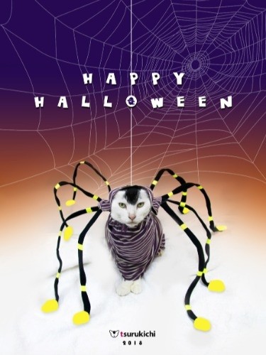 ハロウインに作ったポストカード（提供写真）