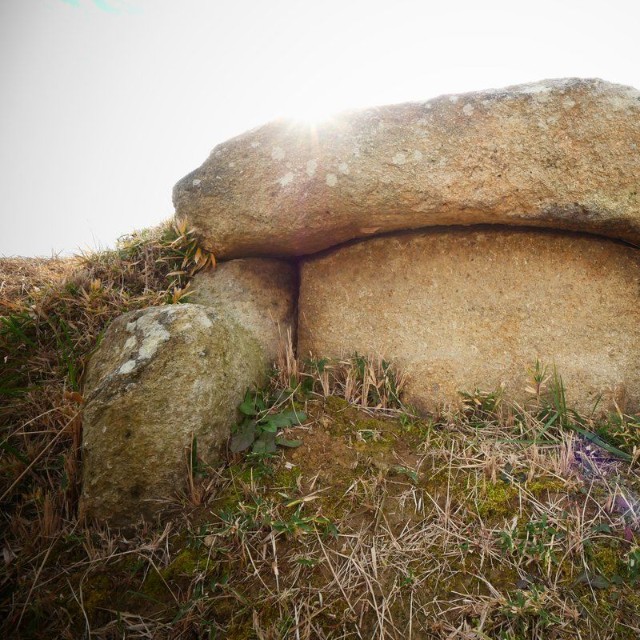 山之越古墳の石棺（あると紀はさん提供）