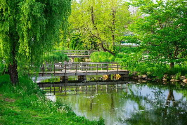 【長野県】名水百選　安曇野わさび田湧水群（kikisora/stock.adobe.com）