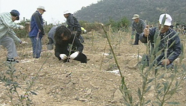 豊島から環境教育の未来を考える　瀬戸内オリーブ基金創立25周年　11月に岡山で記念式典