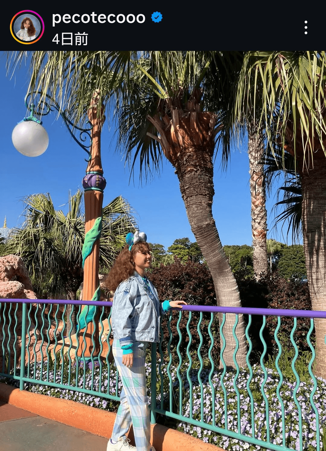 pecoのインスタグラム@pecotecoooより