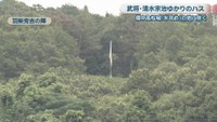 羽柴秀吉の陣