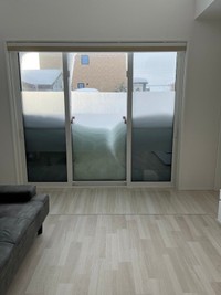 飼い主さんが投稿した、北海道の積雪のすごさがわかる写真（提供：くぅ さん）