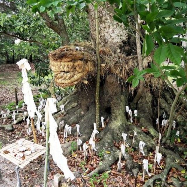 出雲の荒神巡り ― 樹木に巻き付く藁蛇の信仰（画像提供：ホウロクさん）