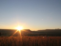 挑戦してみなければ成功することはない。2025年、私は作家になる