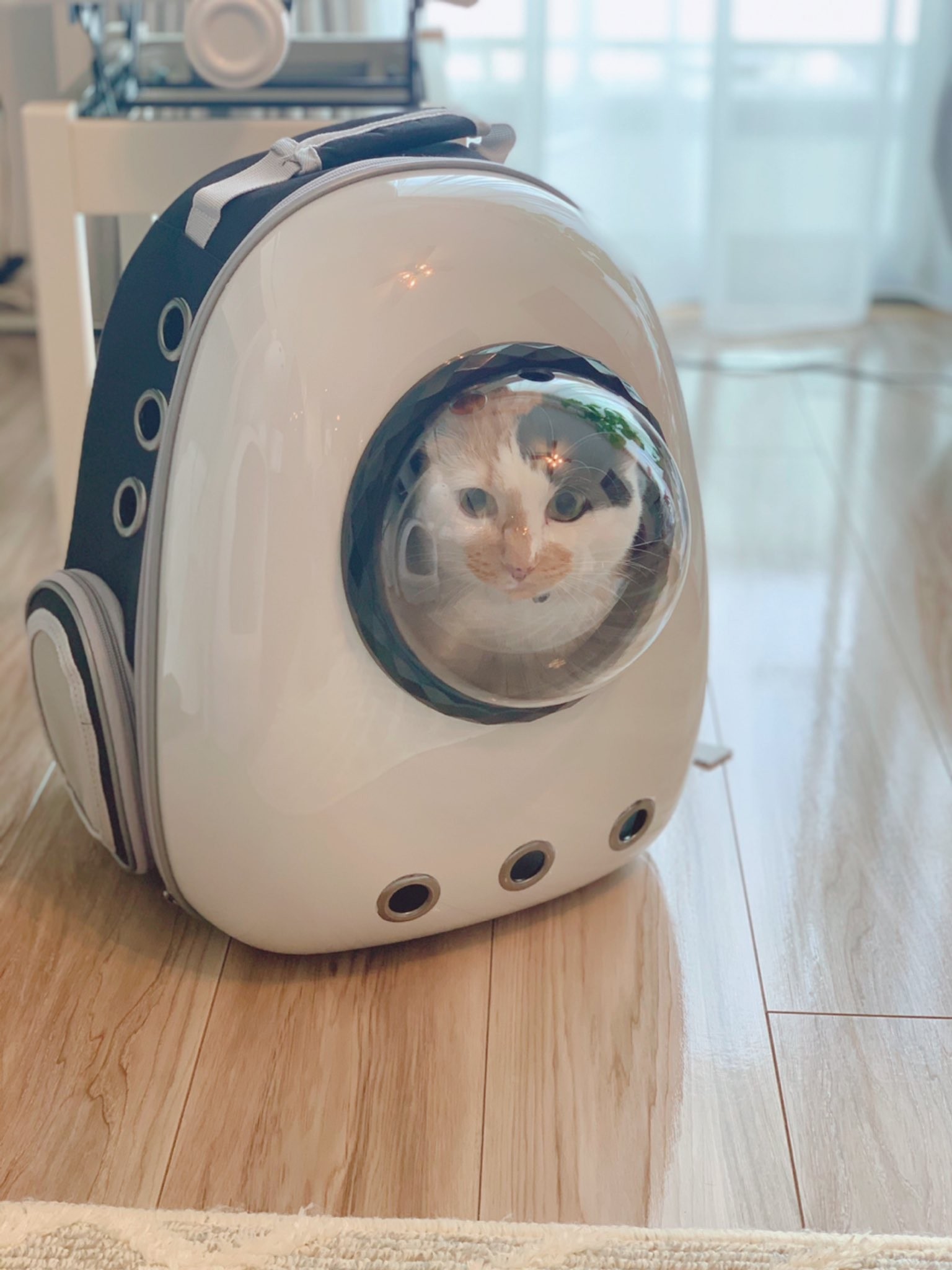 まるで宇宙飛行士？あふれる「アマングアス」感…可愛くて避難時にも